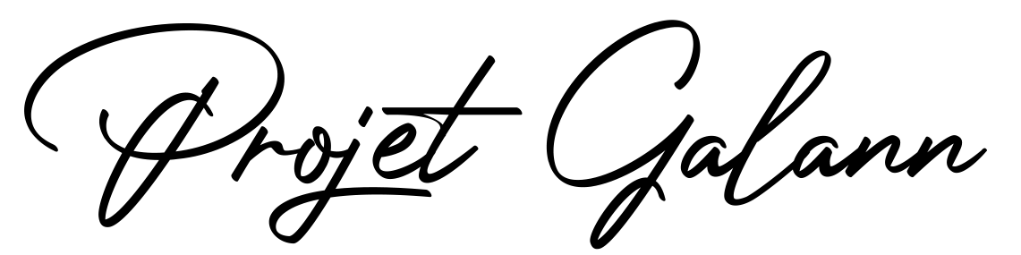 Projet Galann